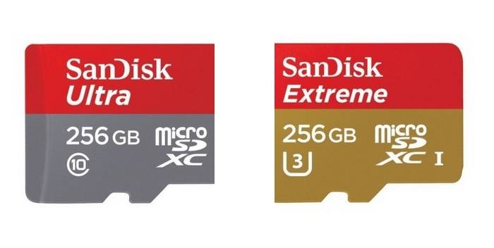 SanDisk-MicroSD-256-Go